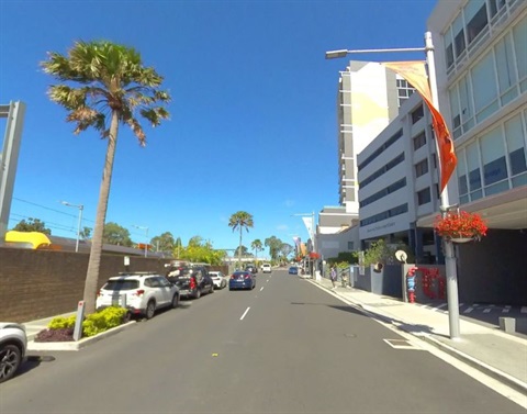 Road with palm trees, landscaping and street poles with flag and planter boxes