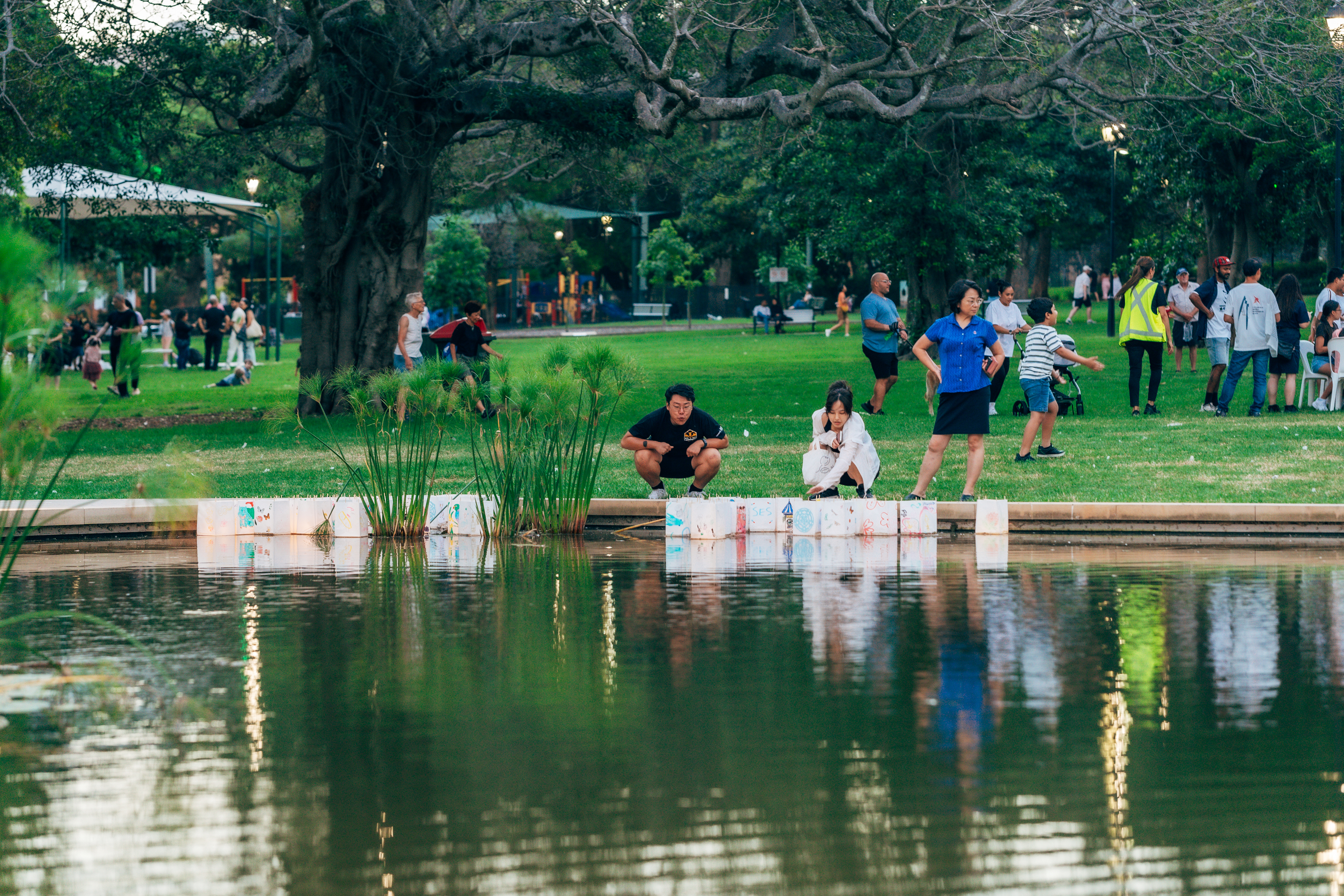 burwood park pond