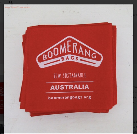 Boomerang Bags.JPG