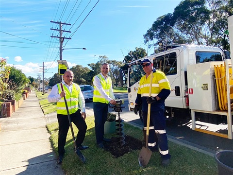 tree planting mayor streets.jpg