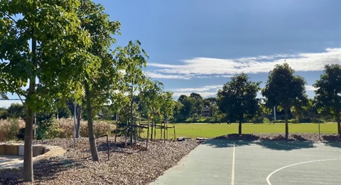 Wangal park trees.jpg