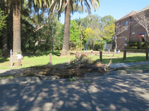 waste dumped at park