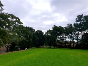 20200604_135554.jpg