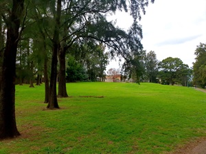 20200604_135642.jpg