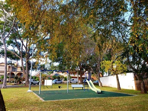 20200604_150131.jpg