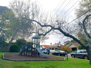 20200604_153517.jpg