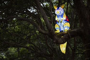 Wilay Mulaa possum lantern