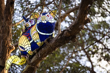 Wilay Mulaa possum lantern