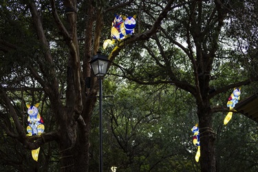Wilay Mulaa possum lantern