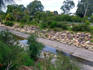A concrete stormwater drain with a narrow flow of water, bordered by rocks and vegetation