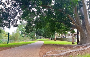Pedestrian walkway bordered by grass on both sides with trees overhead providing shade