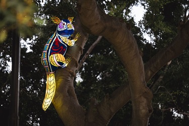 Wilay Mulaa possum lanterns