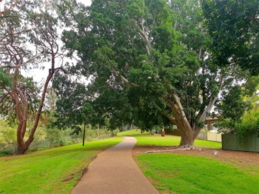 Pedestrian walkway bordered by grass on both sides with trees overhead providing shade